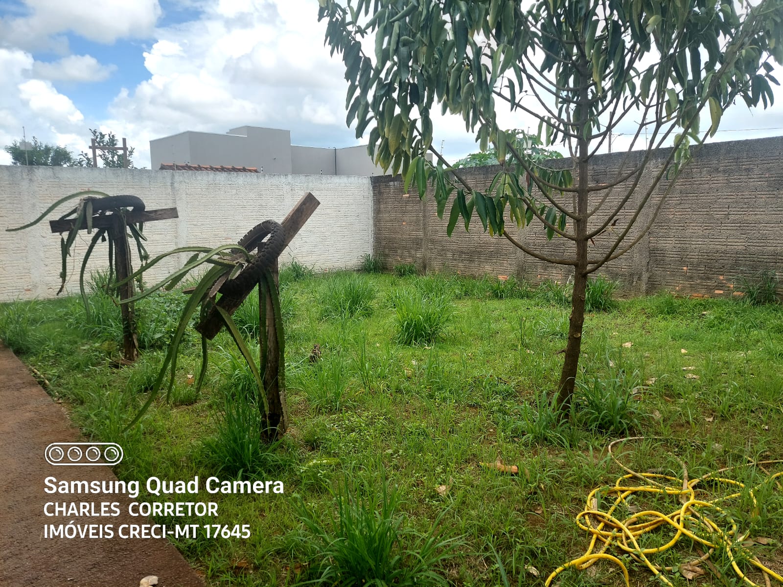 WhatsApp Image 2024-01-24 at 15.12.53 (16)