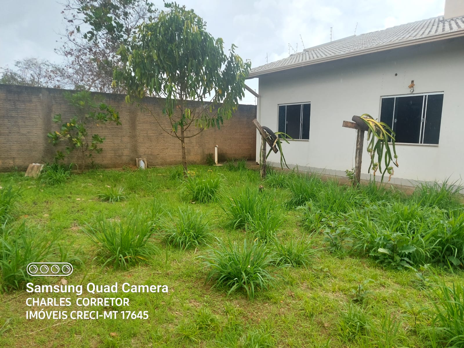 WhatsApp Image 2024-01-24 at 15.12.53 (17)