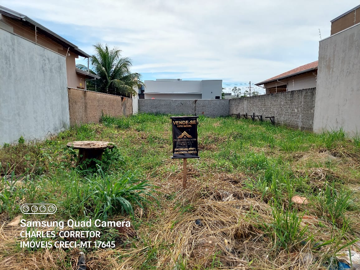 WhatsApp Image 2024-01-27 at 17.18.03